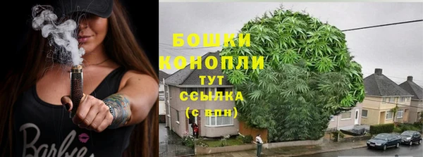 ECSTASY Бронницы
